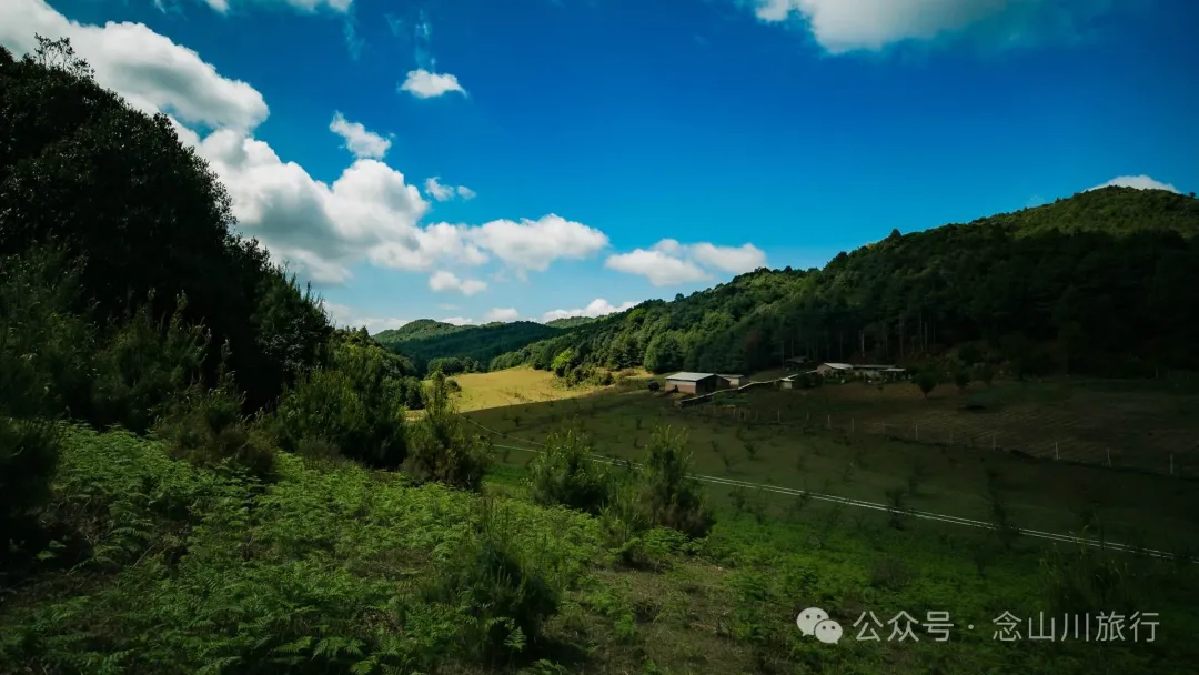 大理巍山马鞍山乡青云草甸:高山草甸上的石林奇景,自然的鬼斧神工 - 第21张