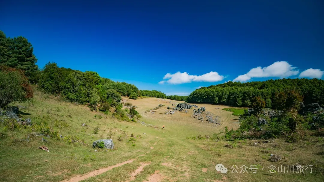 大理巍山马鞍山乡青云草甸:高山草甸上的石林奇景,自然的鬼斧神工 - 第22张