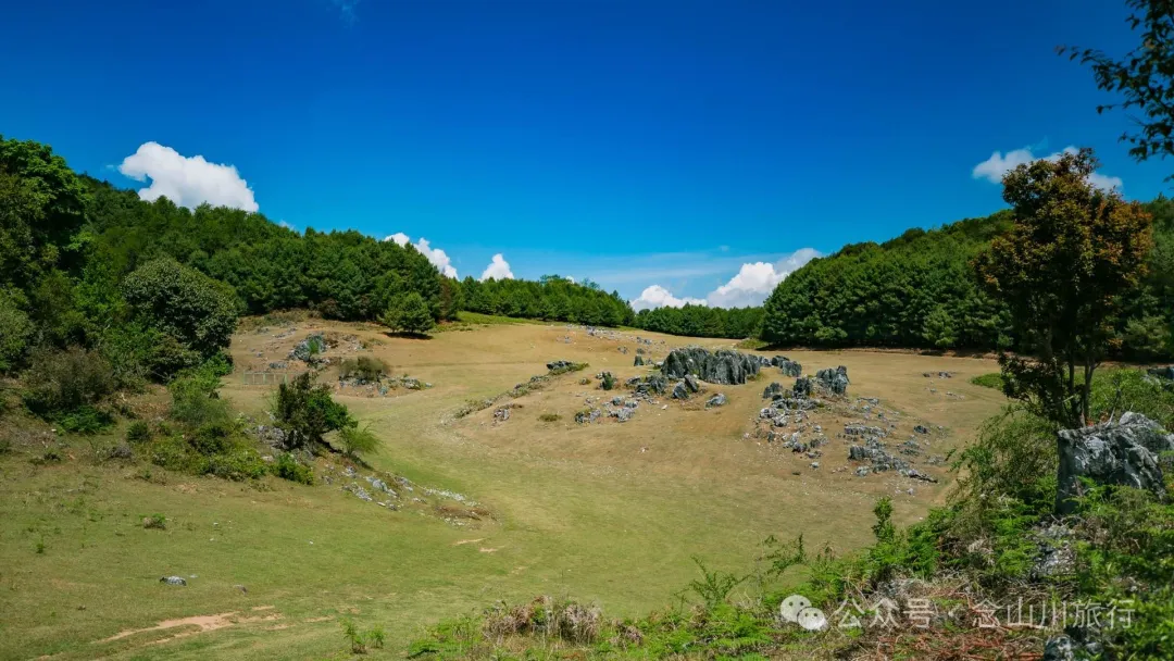 大理巍山马鞍山乡青云草甸:高山草甸上的石林奇景,自然的鬼斧神工 - 第23张