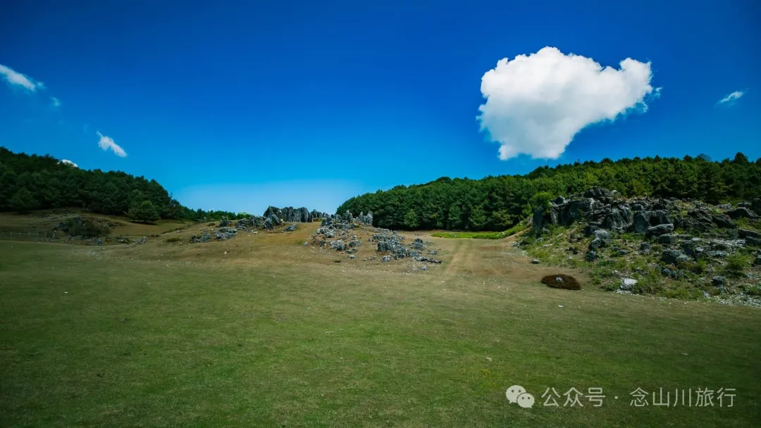 大理巍山马鞍山乡青云草甸:高山草甸上的石林奇景,自然的鬼斧神工 - 第24张