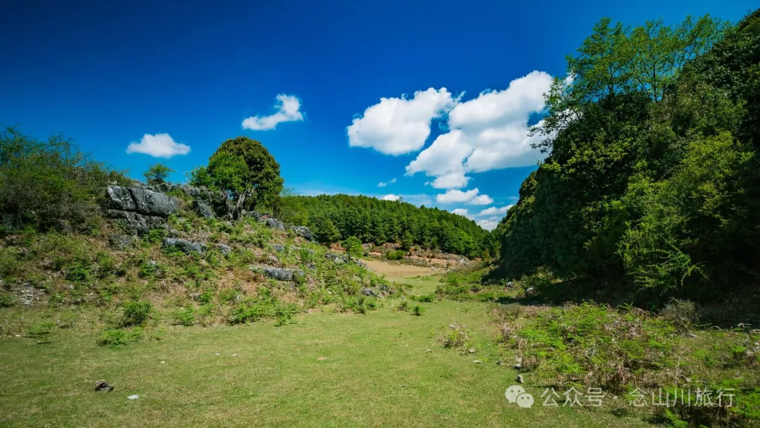 大理巍山马鞍山乡青云草甸:高山草甸上的石林奇景,自然的鬼斧神工 - 第25张