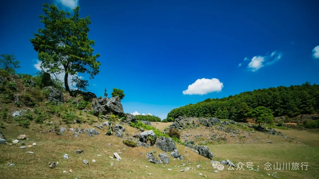 大理巍山马鞍山乡青云草甸:高山草甸上的石林奇景,自然的鬼斧神工 - 第26张