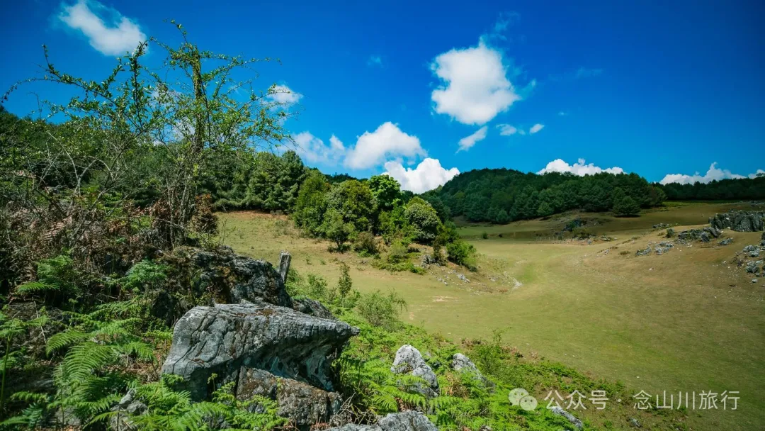 大理巍山马鞍山乡青云草甸:高山草甸上的石林奇景,自然的鬼斧神工 - 第27张