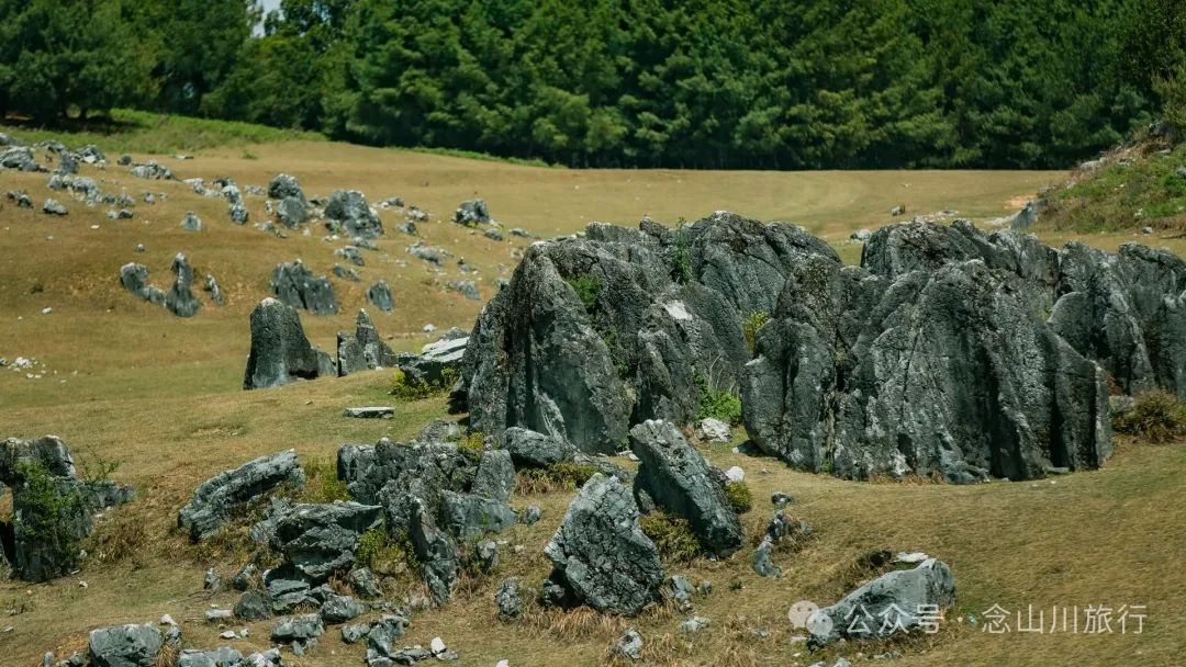 大理巍山马鞍山乡青云草甸:高山草甸上的石林奇景,自然的鬼斧神工 - 第28张