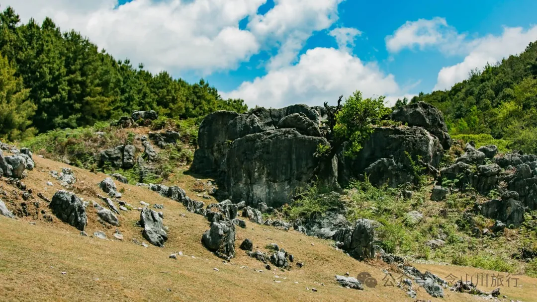 大理巍山马鞍山乡青云草甸:高山草甸上的石林奇景,自然的鬼斧神工 - 第29张