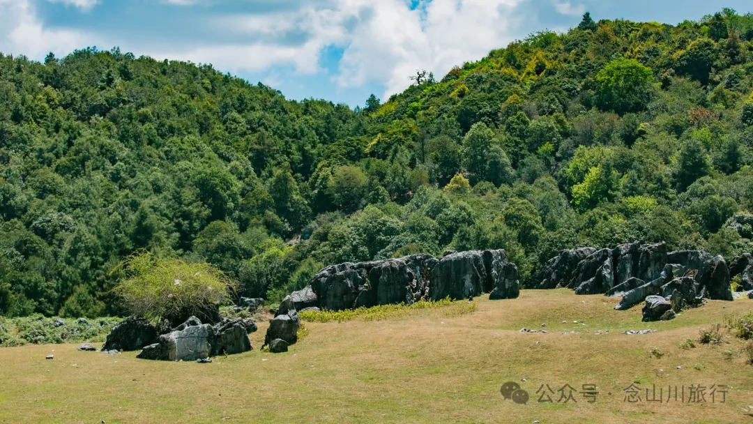 大理巍山马鞍山乡青云草甸:高山草甸上的石林奇景,自然的鬼斧神工 - 第3张