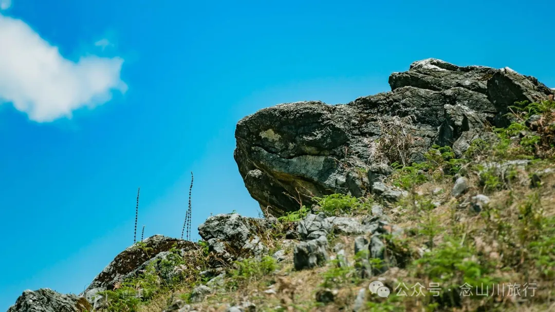 大理巍山马鞍山乡青云草甸:高山草甸上的石林奇景,自然的鬼斧神工 - 第30张