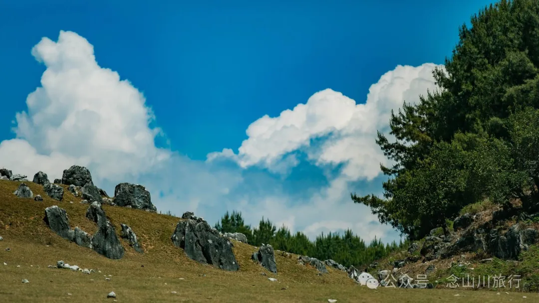 大理巍山马鞍山乡青云草甸:高山草甸上的石林奇景,自然的鬼斧神工 - 第31张