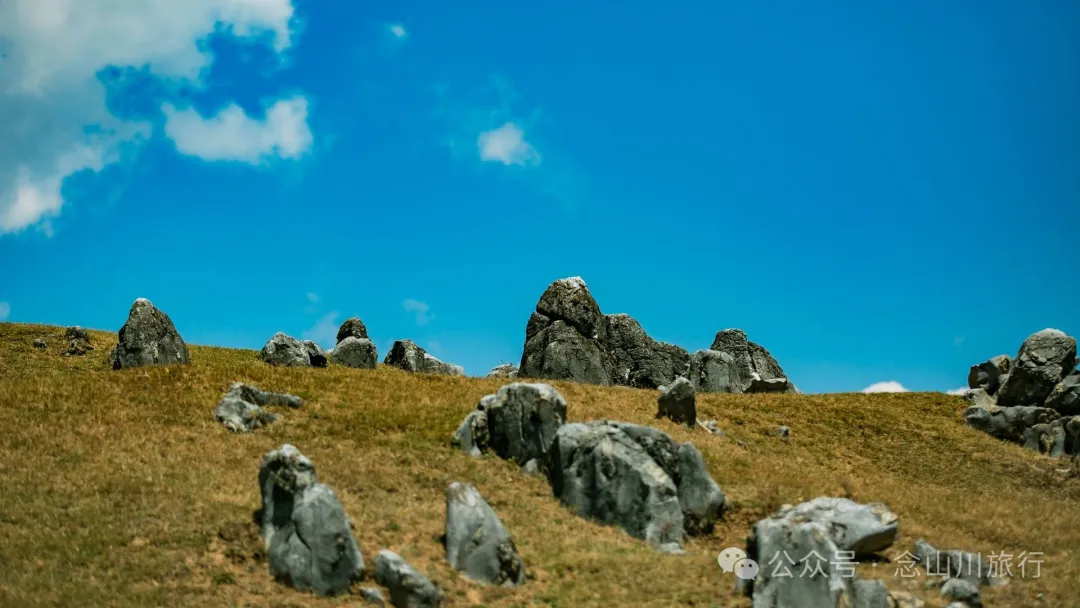 大理巍山马鞍山乡青云草甸:高山草甸上的石林奇景,自然的鬼斧神工 - 第32张