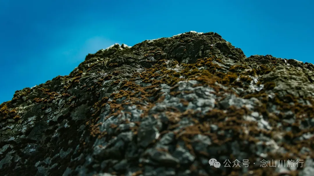 大理巍山马鞍山乡青云草甸:高山草甸上的石林奇景,自然的鬼斧神工 - 第33张