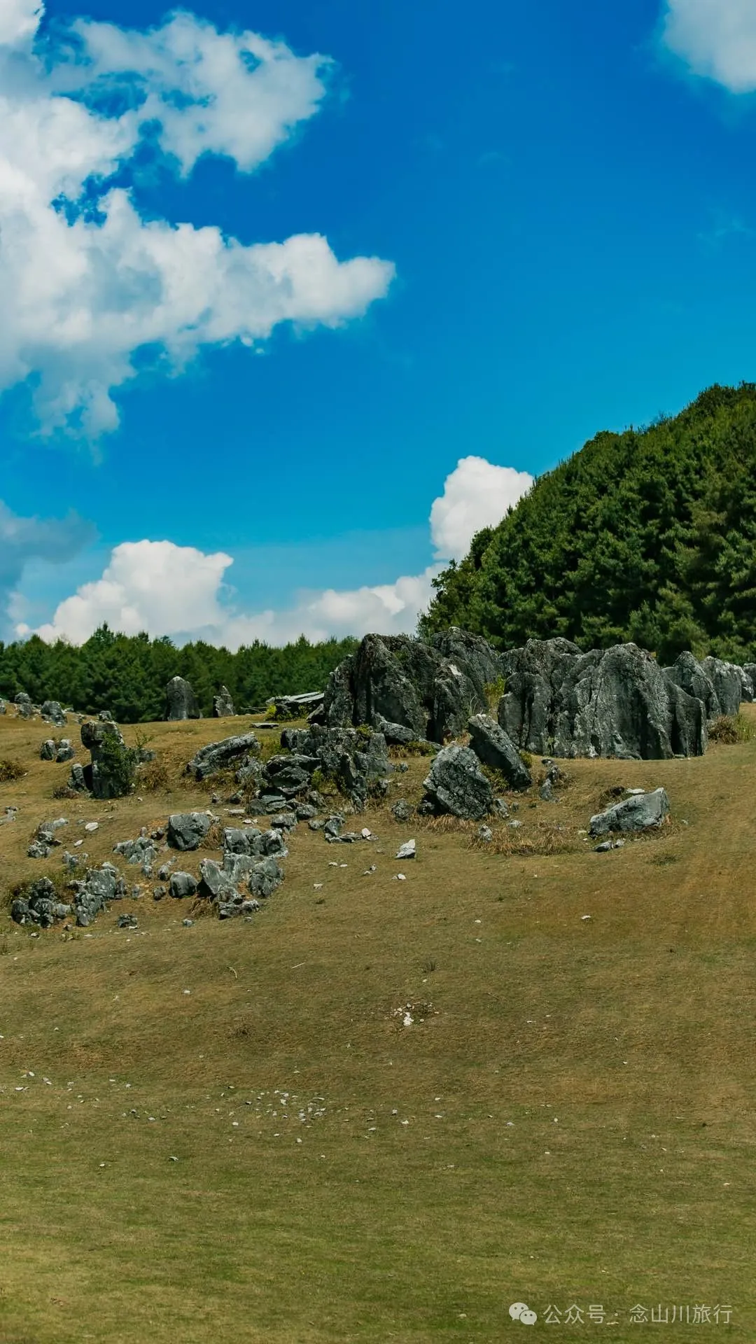 大理巍山马鞍山乡青云草甸:高山草甸上的石林奇景,自然的鬼斧神工 - 第39张