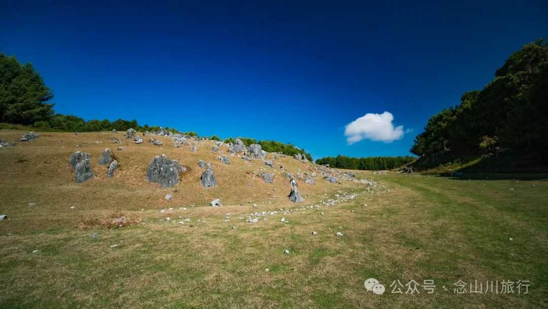 大理巍山马鞍山乡青云草甸:高山草甸上的石林奇景,自然的鬼斧神工 - 第4张