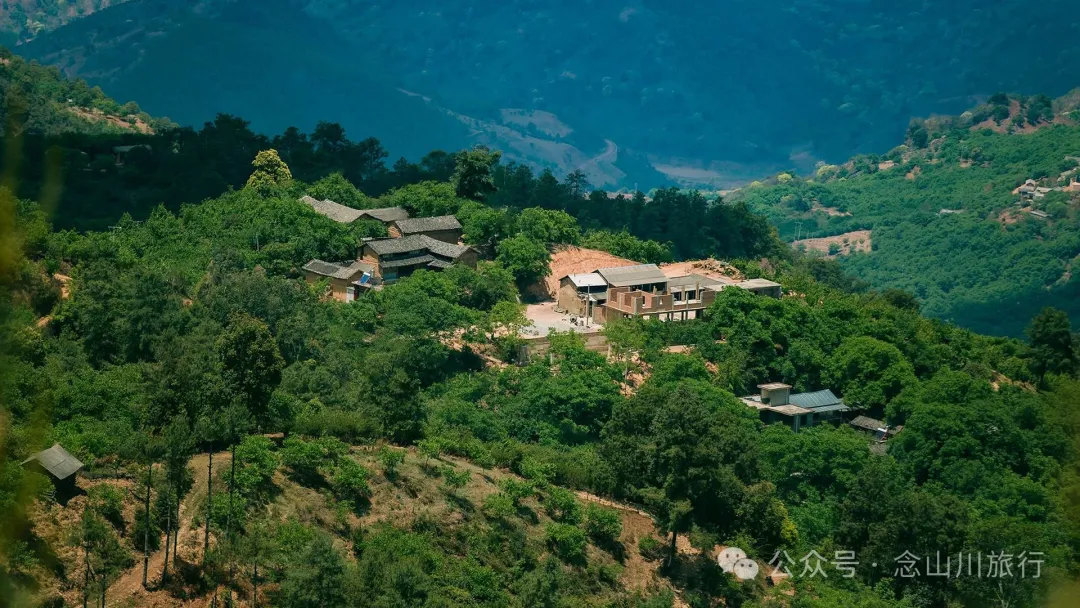 大理巍山马鞍山乡青云草甸:高山草甸上的石林奇景,自然的鬼斧神工 - 第5张
