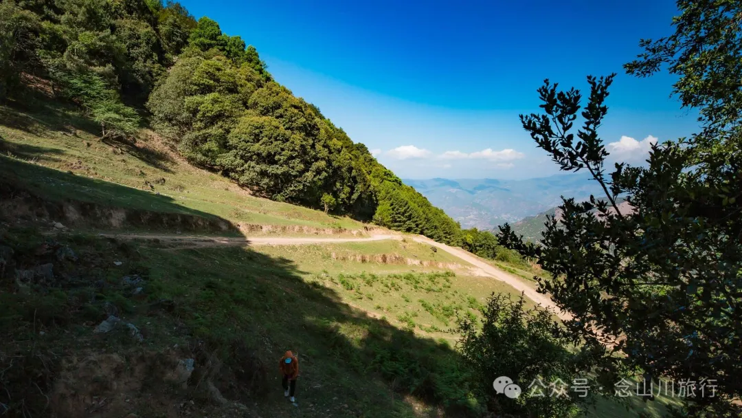 大理巍山马鞍山乡青云草甸:高山草甸上的石林奇景,自然的鬼斧神工 - 第7张
