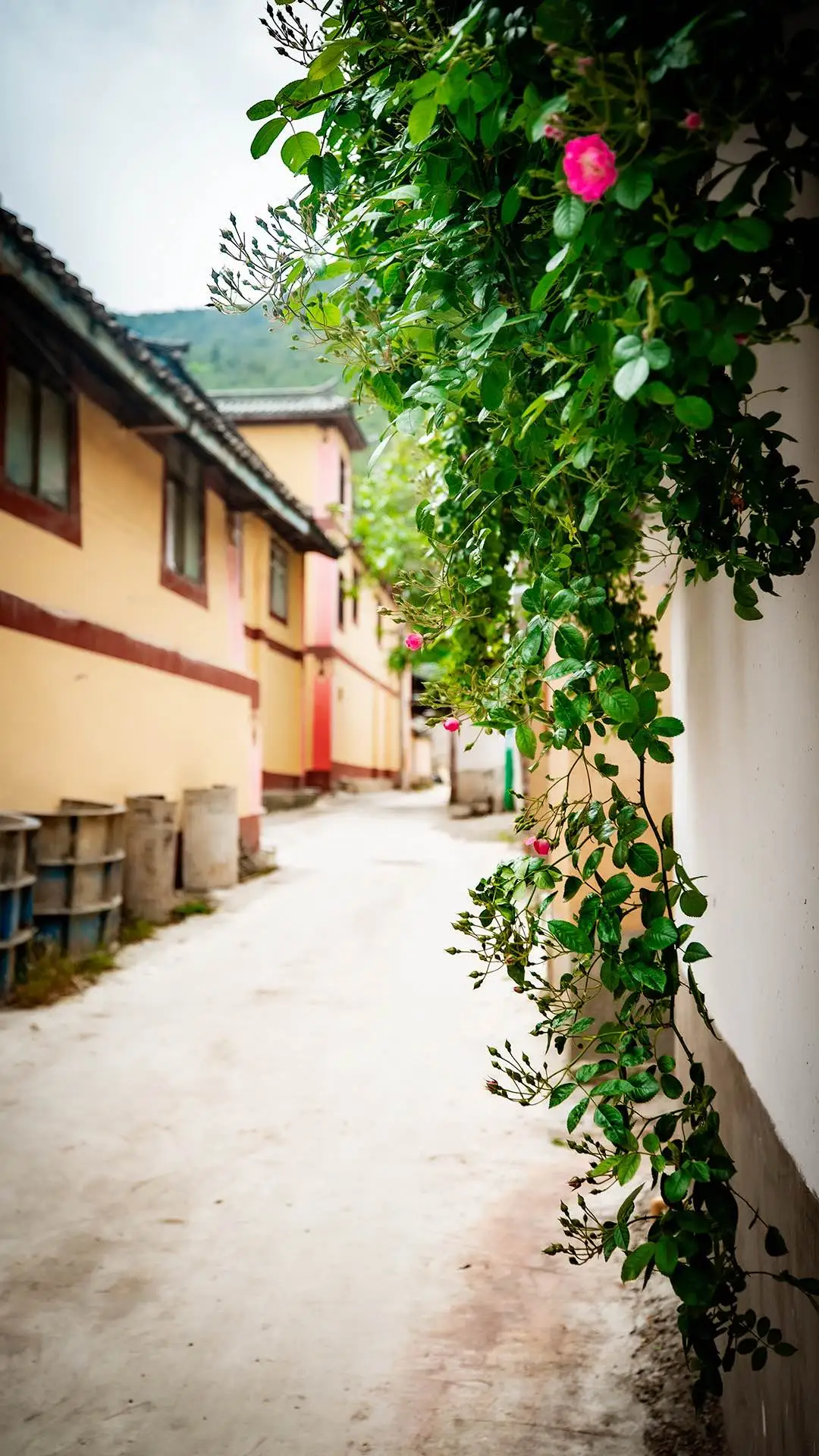 迪庆维西塔城镇其宗村:“鸡鸣四县”的多民族村落,金沙江畔的活佛村 - 第24张