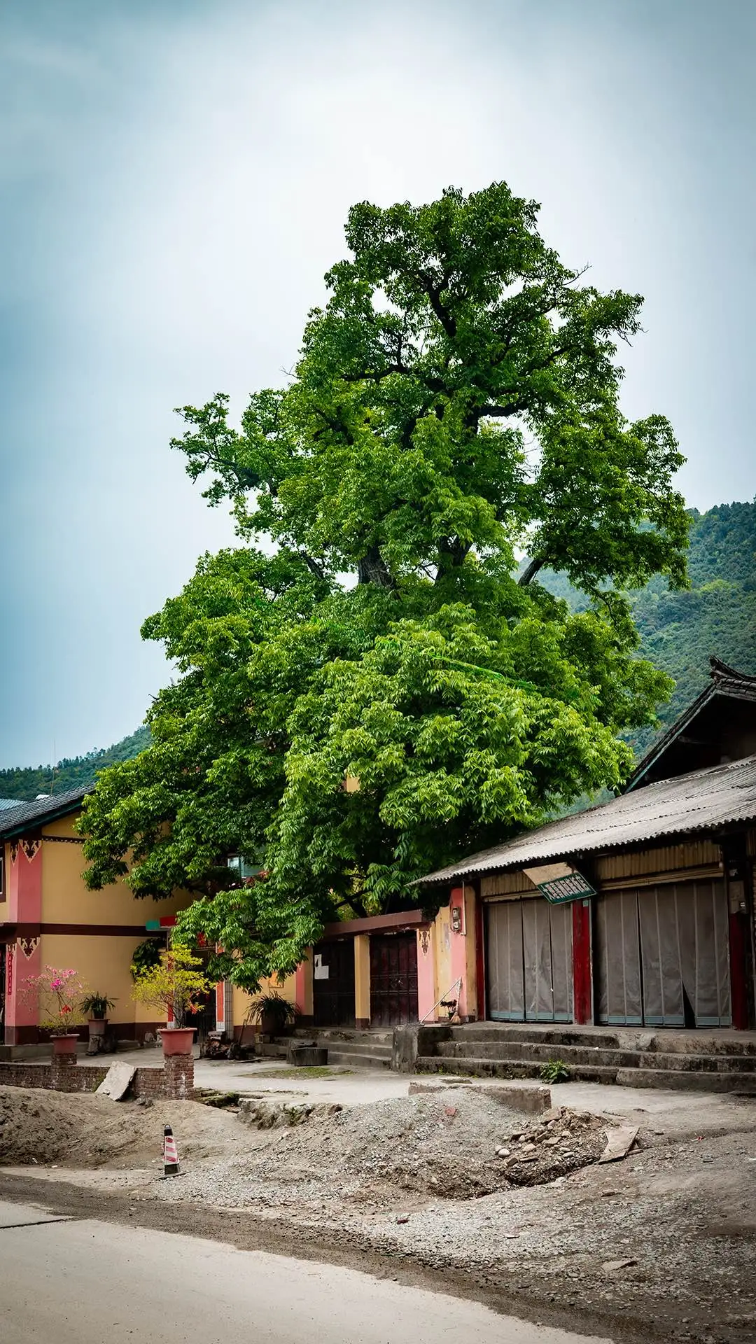 迪庆维西塔城镇其宗村:“鸡鸣四县”的多民族村落,金沙江畔的活佛村 - 第25张