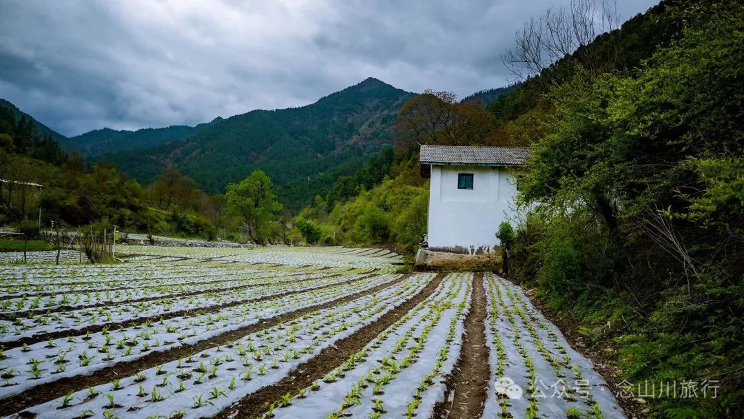迪慶維西縣塔城鎮雙加馬村：臘普河邊聽一段退伍老兵的故事 - 第13張