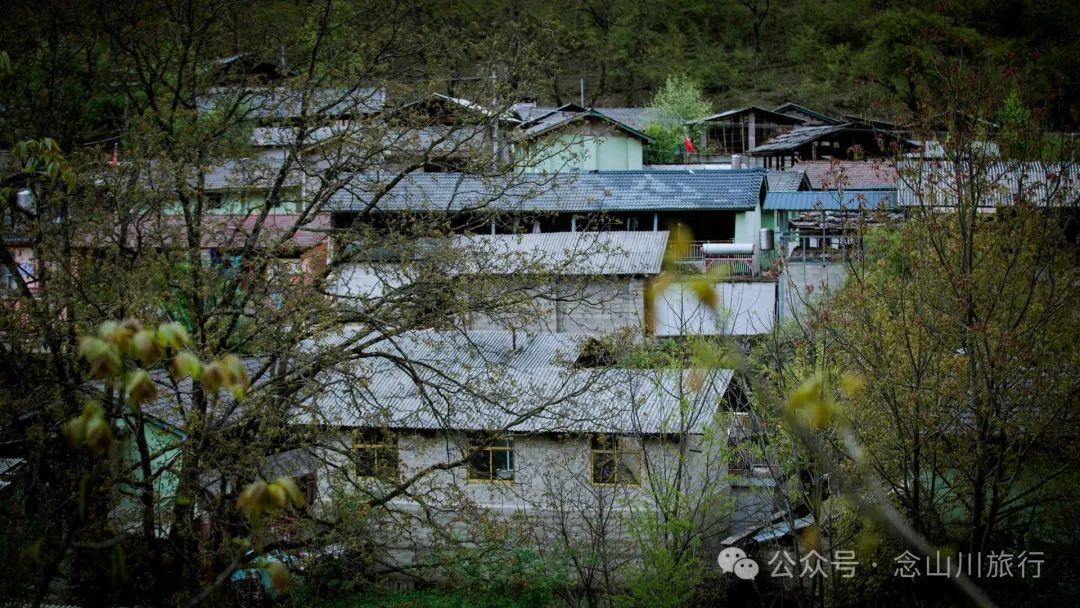 迪慶維西縣塔城鎮雙加馬村：臘普河邊聽一段退伍老兵的故事 - 第22張