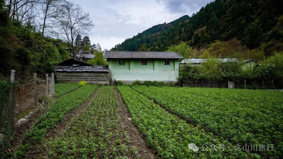 迪慶維西縣塔城鎮雙加馬村：臘普河邊聽一段退伍老兵的故事 - 第3張