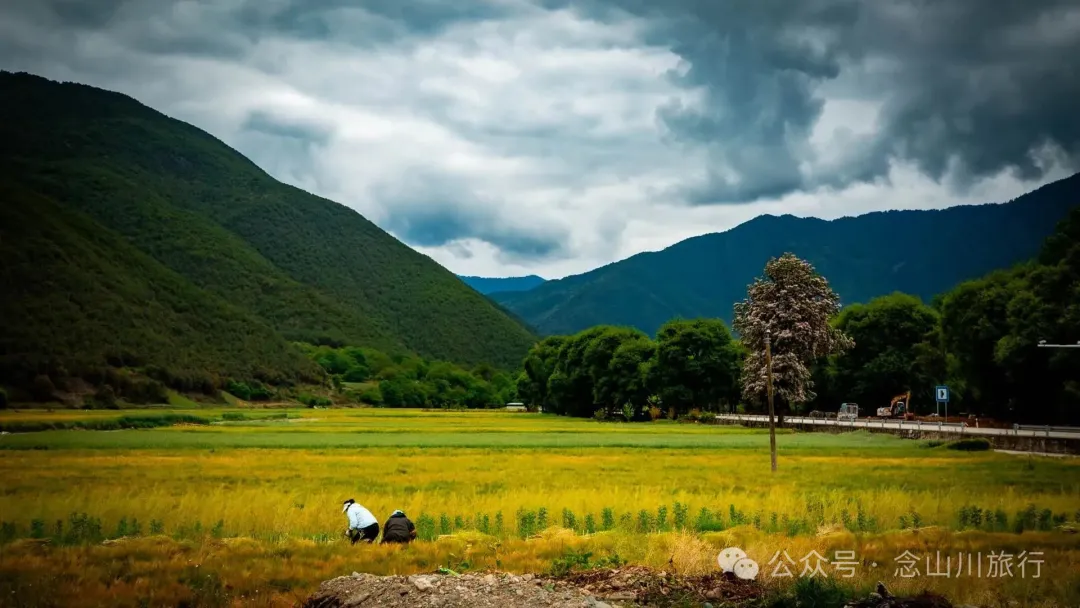 Tacheng Town in Weixi, Diqing: ‘Little Jiangnan on the Plateau’, a Millennium Home at the Confluence of Three Rivers - Image 12