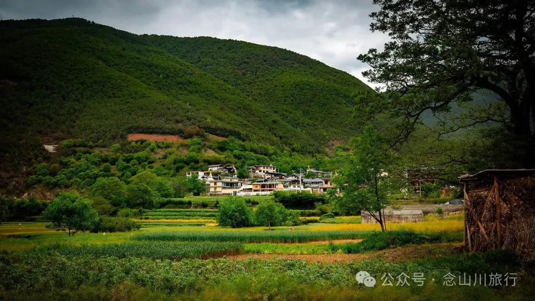 Tacheng Town in Weixi, Diqing: ‘Little Jiangnan on the Plateau’, a Millennium Home at the Confluence of Three Rivers - Image 13
