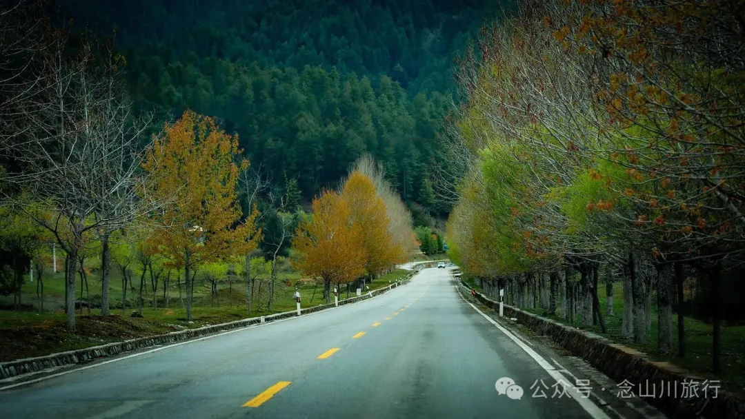 Tacheng Town in Weixi, Diqing: ‘Little Jiangnan on the Plateau’, a Millennium Home at the Confluence of Three Rivers - Image 4