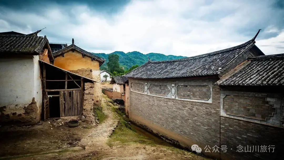大理巍山巍寶山鄉茶客塘村：500年的牛筋條古樹朝古井彎腰，打撈沉底的方言 - 第11張