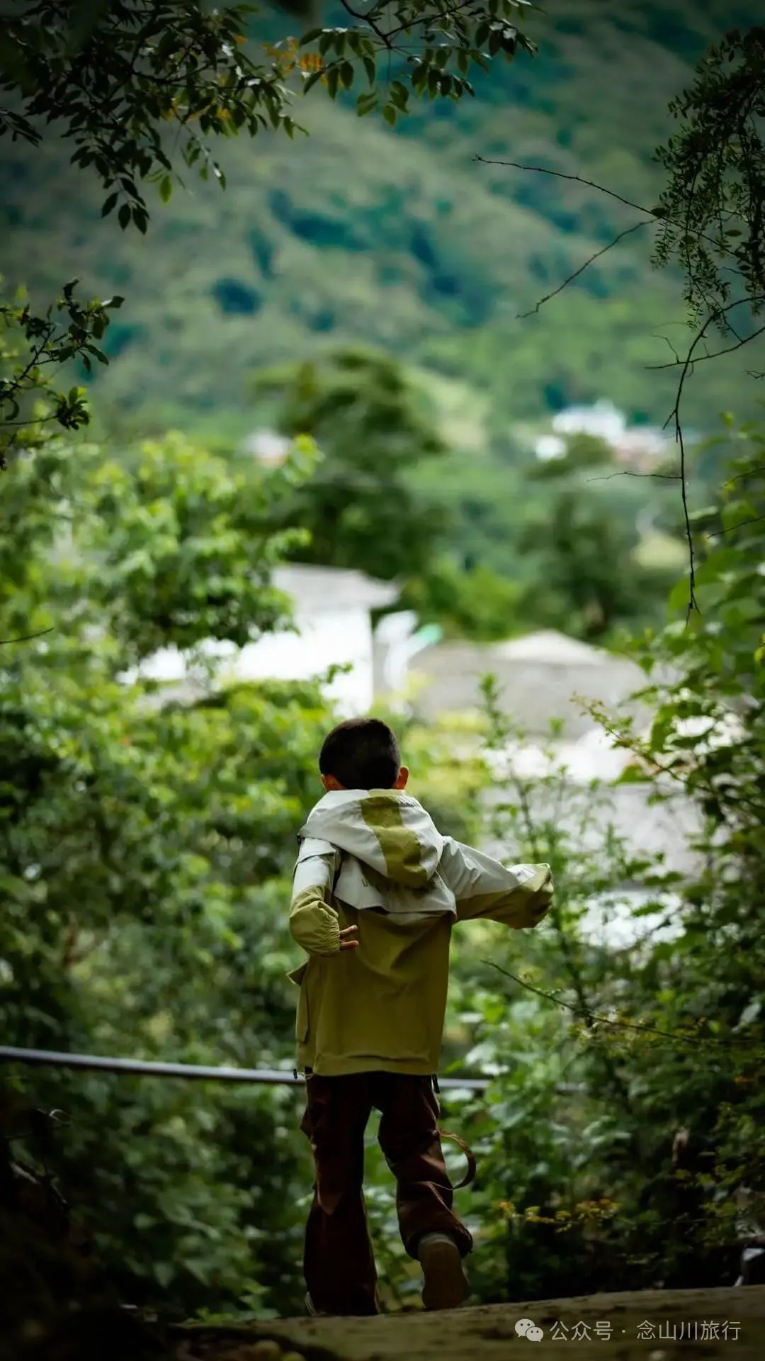 大理巍山巍寶山鄉茶客塘村：500年的牛筋條古樹朝古井彎腰，打撈沉底的方言 - 第26張