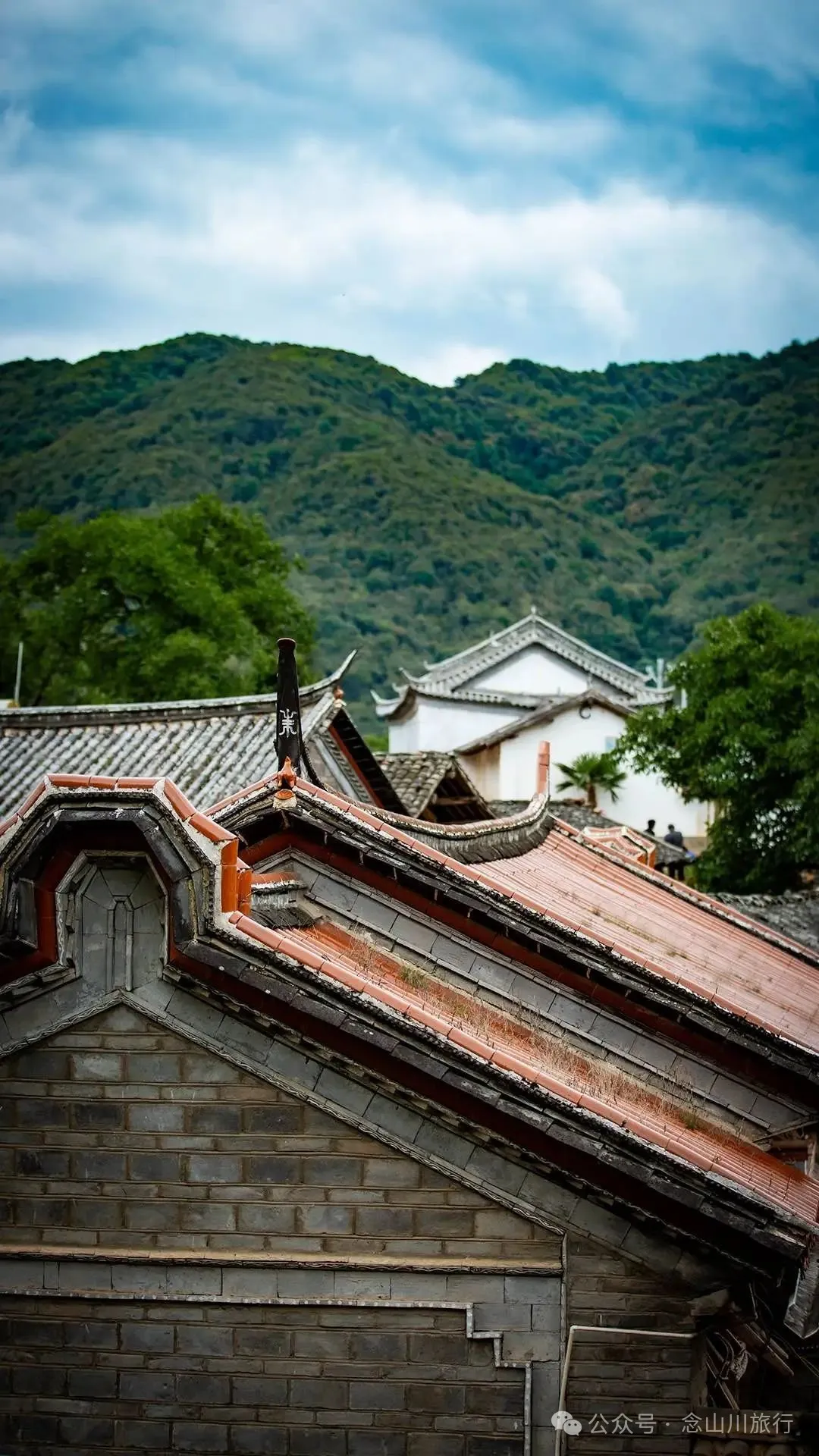 大理巍山巍寶山鄉茶客塘村：500年的牛筋條古樹朝古井彎腰，打撈沉底的方言 - 第27張