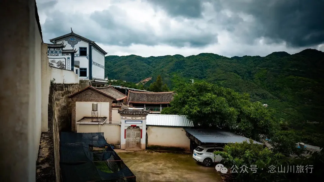 大理巍山巍寶山鄉茶客塘村：500年的牛筋條古樹朝古井彎腰，打撈沉底的方言 - 第3張