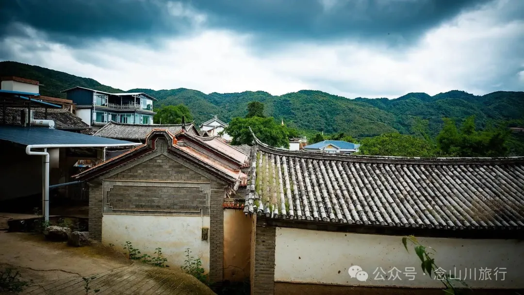 大理巍山巍寶山鄉茶客塘村：500年的牛筋條古樹朝古井彎腰，打撈沉底的方言 - 第8張
