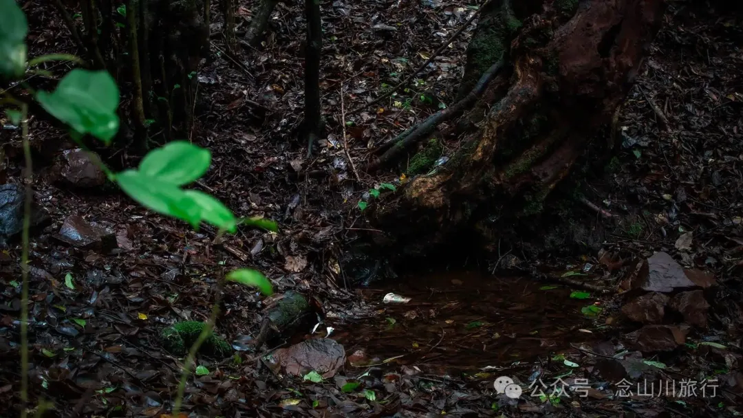 Honghe River Source at Milumo Village, Yongjian, Weishan, Dali: Where the First Drop of the Red River Flows - Image 24