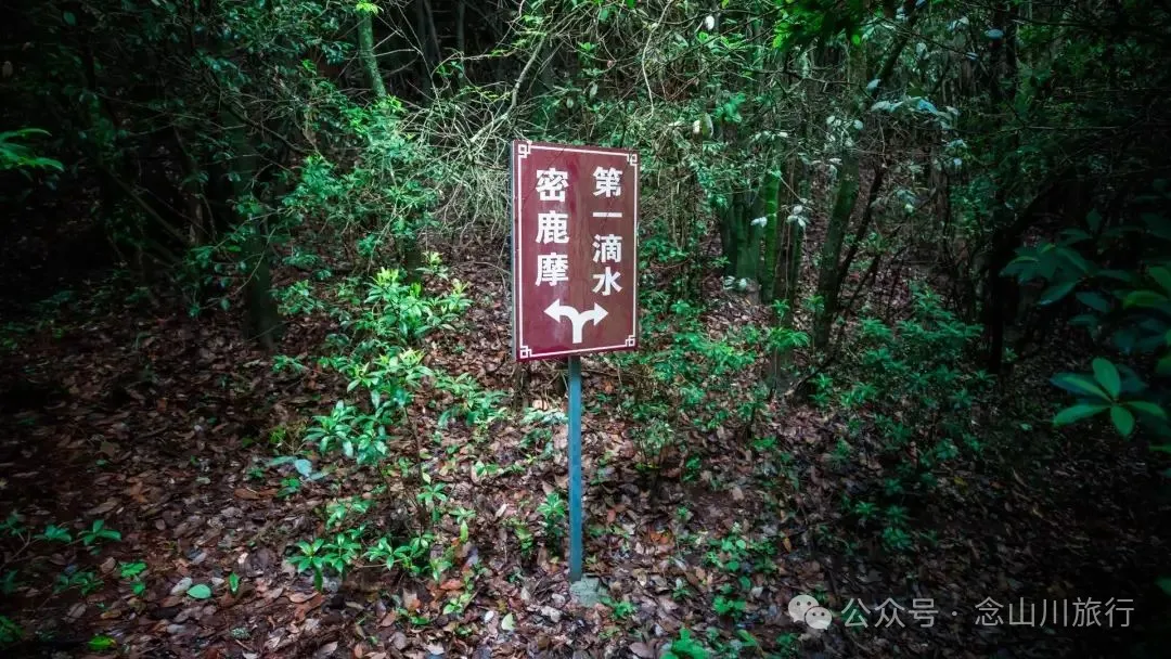 Honghe River Source at Milumo Village, Yongjian, Weishan, Dali: Where the First Drop of the Red River Flows - Image 25