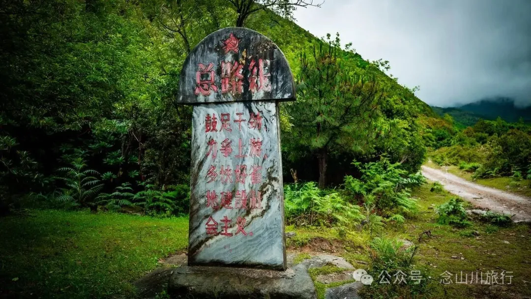 大理蒼山大花甸壩：雨中徒步30公里，走進這片最美的高山草甸 - 第10張