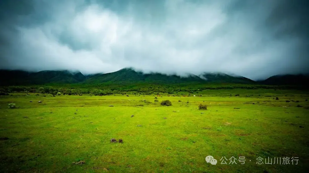 大理蒼山大花甸壩：雨中徒步30公里，走進這片最美的高山草甸 - 第16張