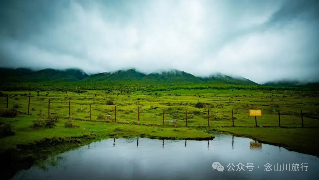 大理蒼山大花甸壩：雨中徒步30公里，走進這片最美的高山草甸 - 第18張