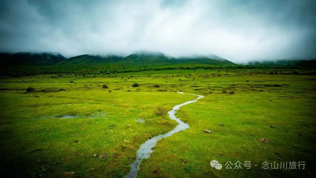 大理蒼山大花甸壩：雨中徒步30公里，走進這片最美的高山草甸 - 第19張
