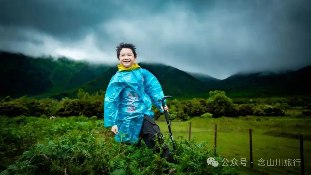 大理蒼山大花甸壩：雨中徒步30公里，走進這片最美的高山草甸 - 第20張