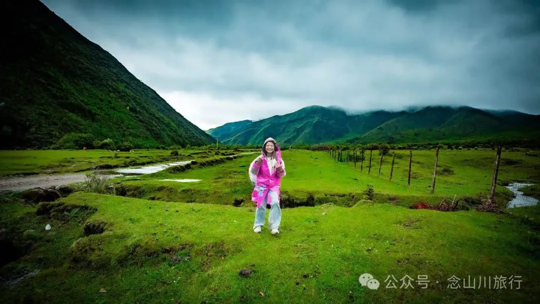 大理蒼山大花甸壩：雨中徒步30公里，走進這片最美的高山草甸 - 第21張
