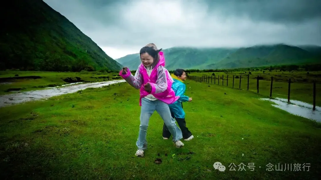 大理蒼山大花甸壩：雨中徒步30公里，走進這片最美的高山草甸 - 第22張