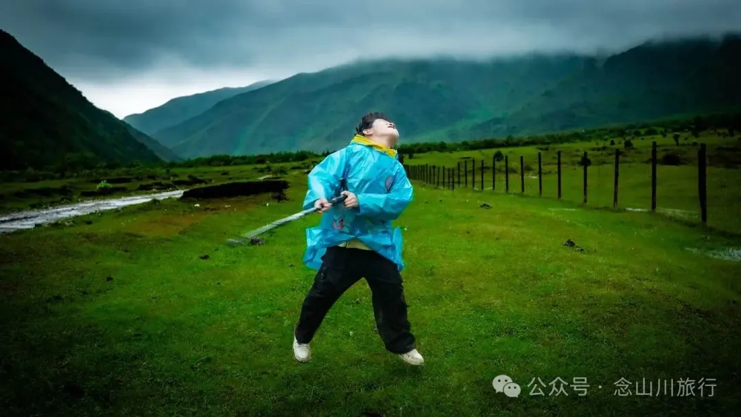 大理蒼山大花甸壩：雨中徒步30公里，走進這片最美的高山草甸 - 第23張