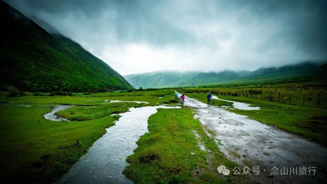 大理蒼山大花甸壩：雨中徒步30公里，走進這片最美的高山草甸 - 第26張