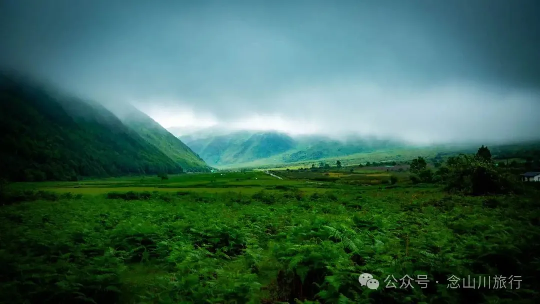 大理蒼山大花甸壩：雨中徒步30公里，走進這片最美的高山草甸 - 第3張