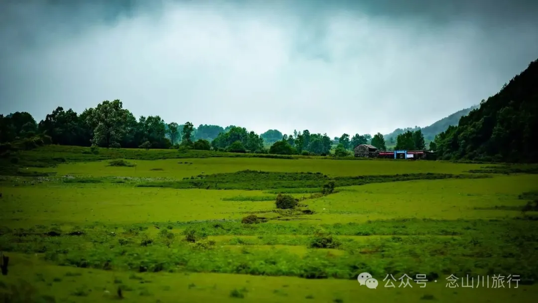 大理蒼山大花甸壩：雨中徒步30公里，走進這片最美的高山草甸 - 第30張