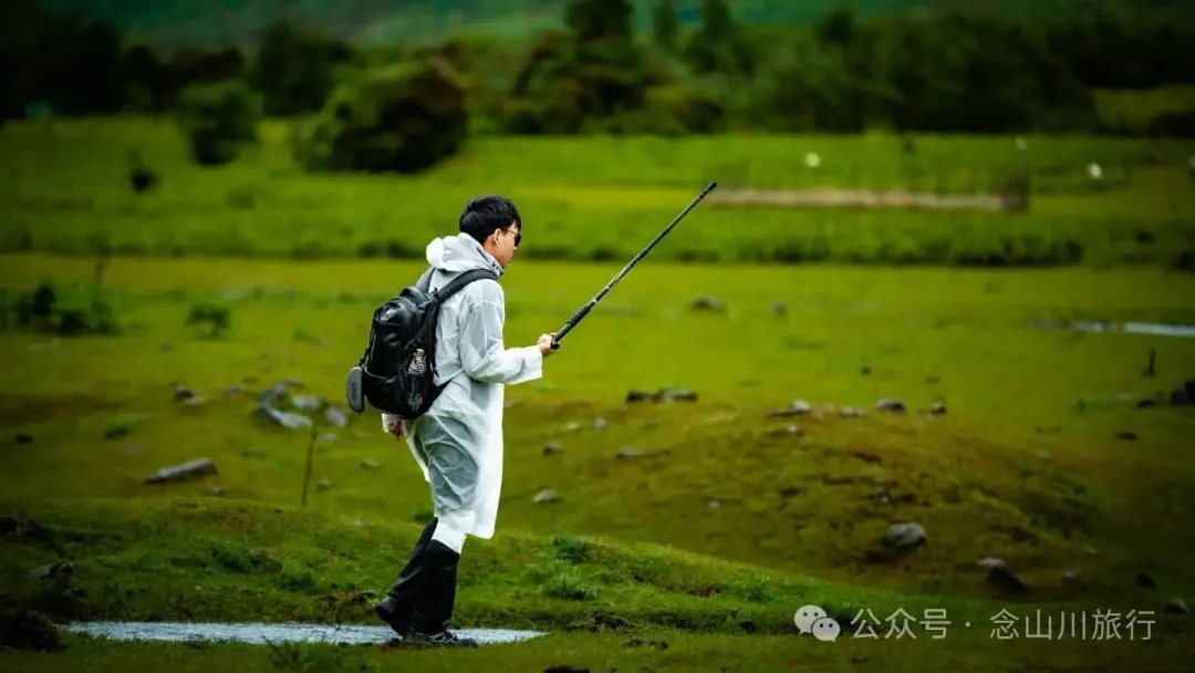 大理蒼山大花甸壩：雨中徒步30公里，走進這片最美的高山草甸 - 第34張