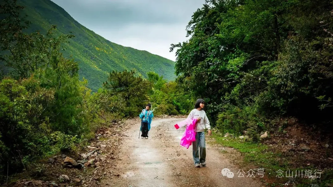 大理蒼山大花甸壩：雨中徒步30公里，走進這片最美的高山草甸 - 第9張