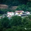大理巍山巍宝山乡黄家村:村子的钟表,停在公鸡打鸣的时辰