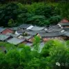 大理巍山庙街镇利客村：青瓦问茶的百年孤独，谁来守住最后一盏老宅灯？