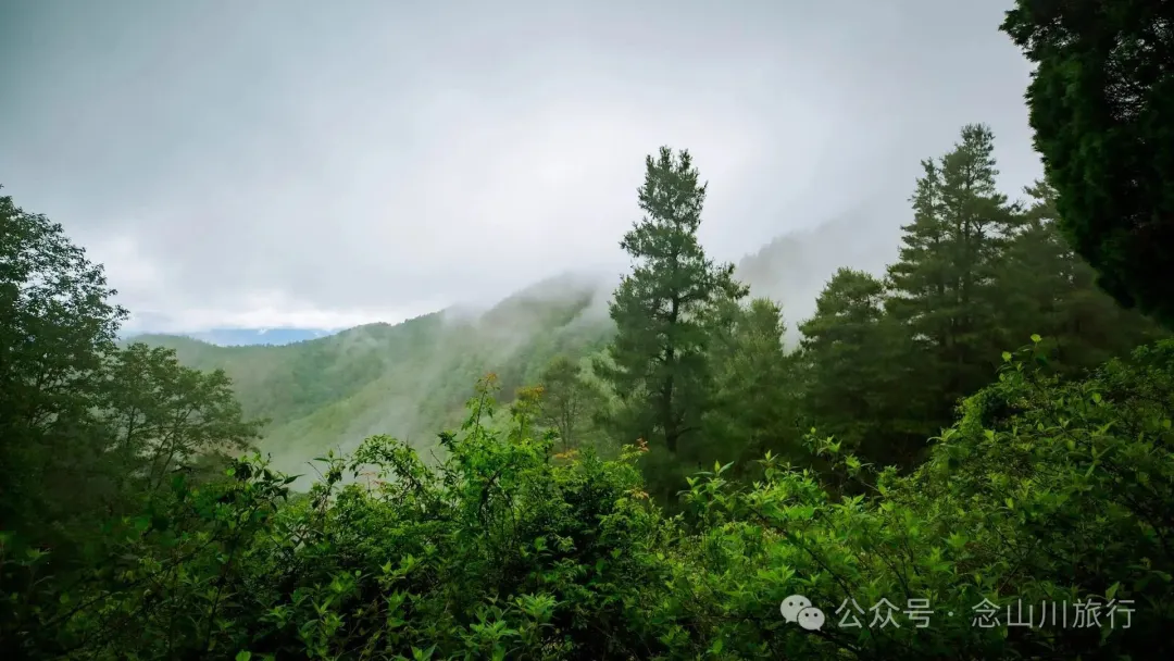 Longqingguan Pass in Weishan, Dali: Traversing the Ming Dynasty Mimeng Ancient Road, Entering a Misty Fairyland Forest in the Rainy Season - Image 1