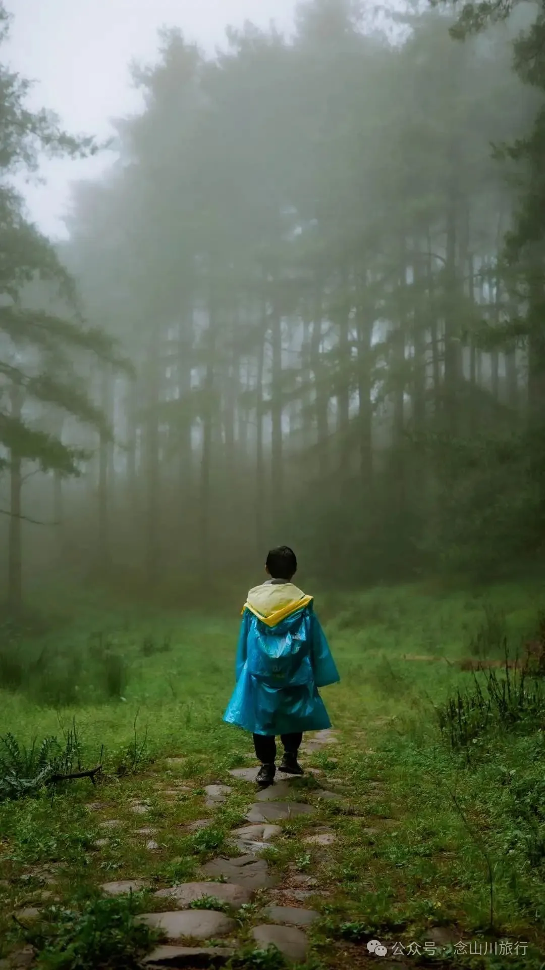 Longqingguan Pass in Weishan, Dali: Traversing the Ming Dynasty Mimeng Ancient Road, Entering a Misty Fairyland Forest in the Rainy Season - Image 11